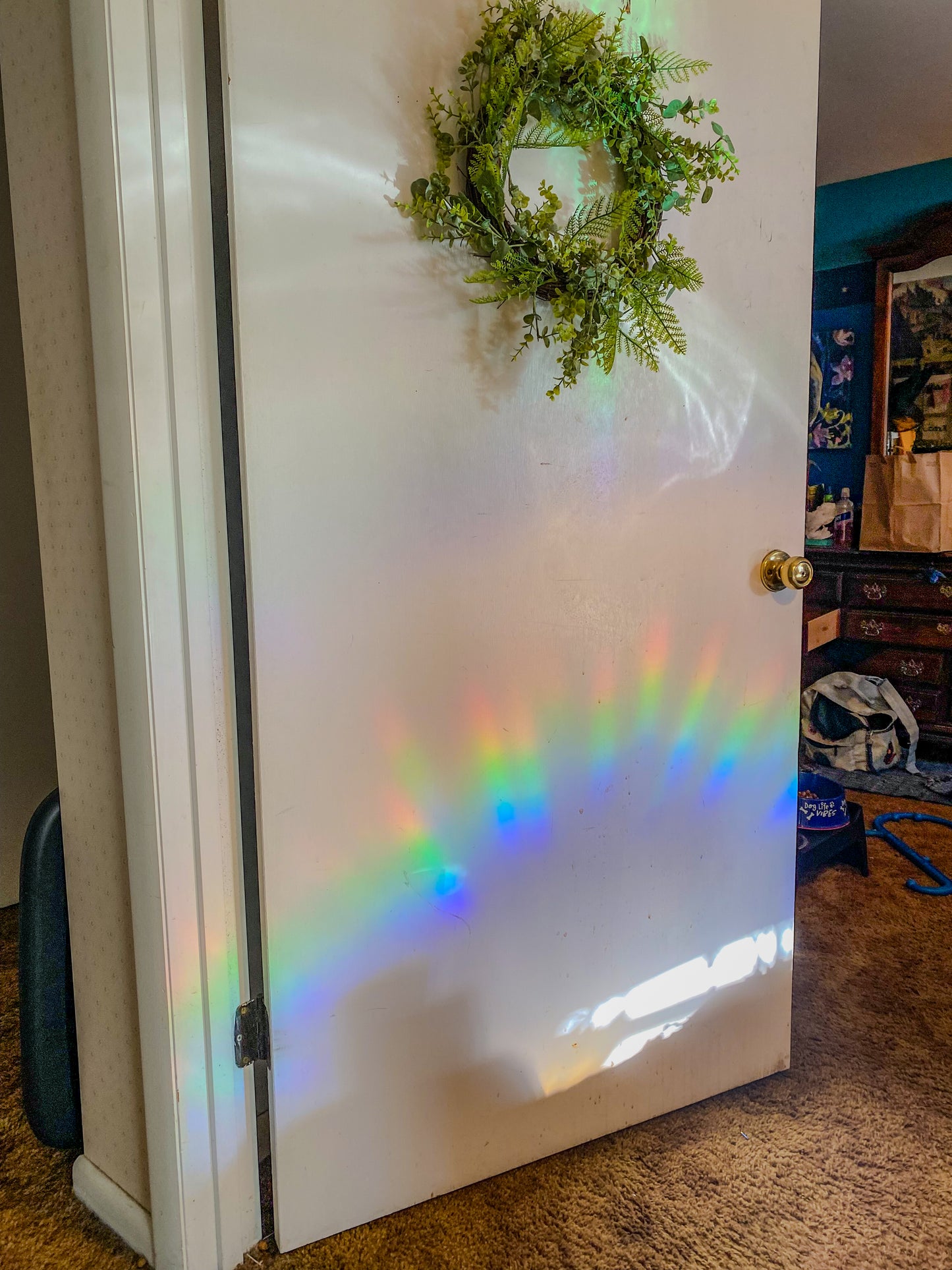 Holographic Moth Suncatcher