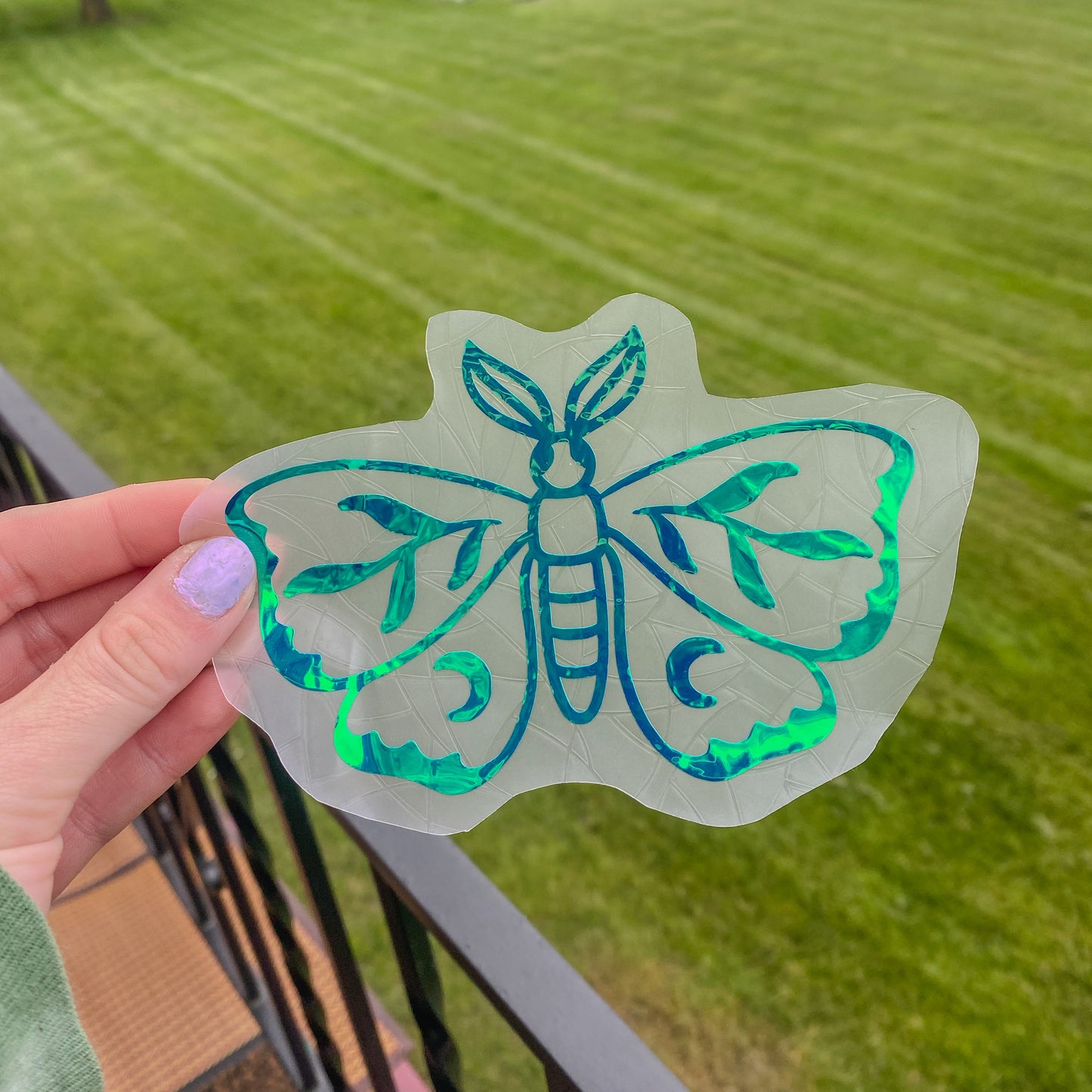 Holographic Moth Suncatcher