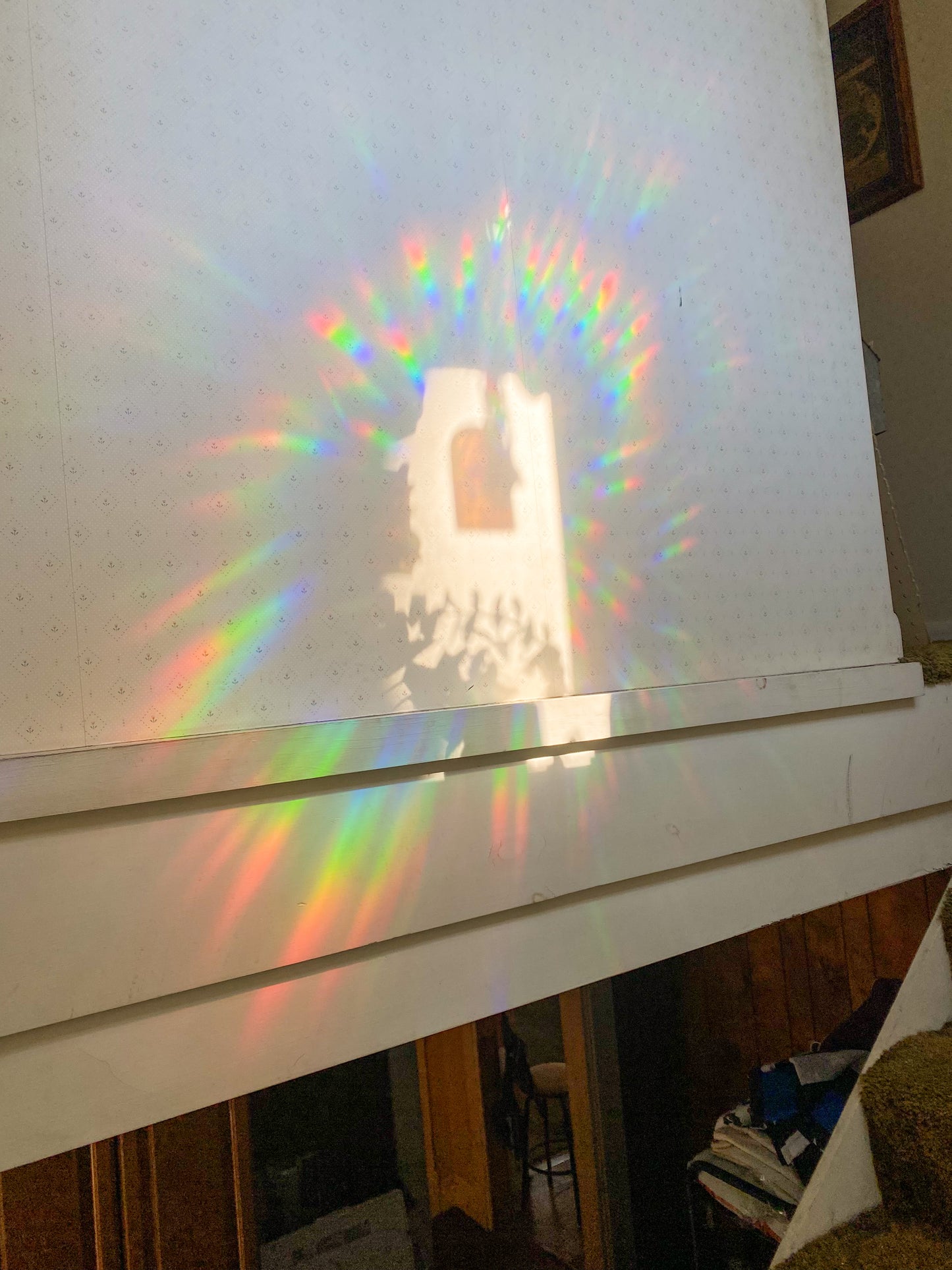 XL Polaroid Suncatcher