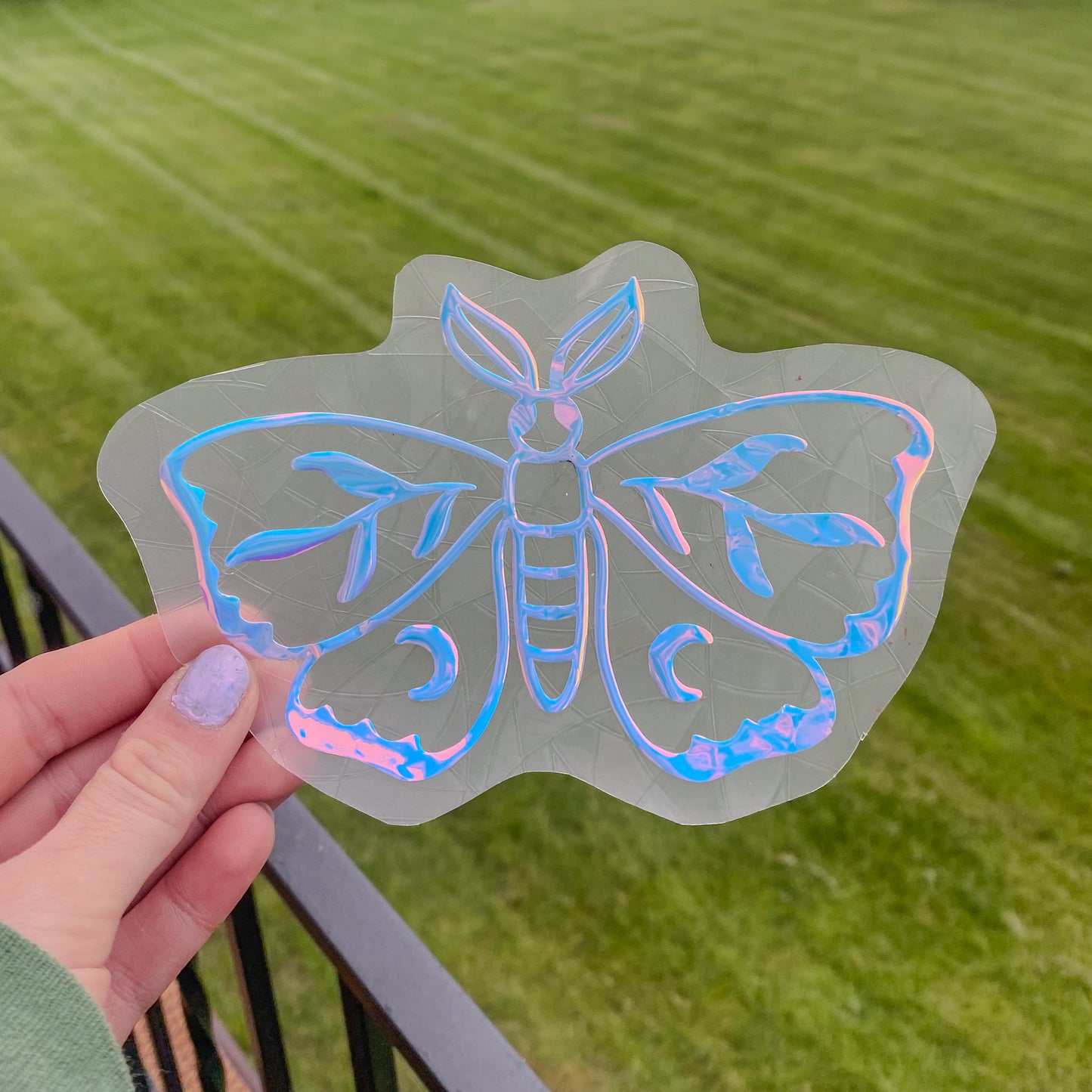 Holographic Moth Suncatcher