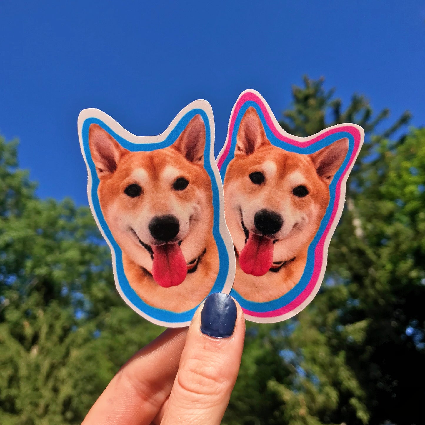 Pet Stickers & Magnets SOLID Border