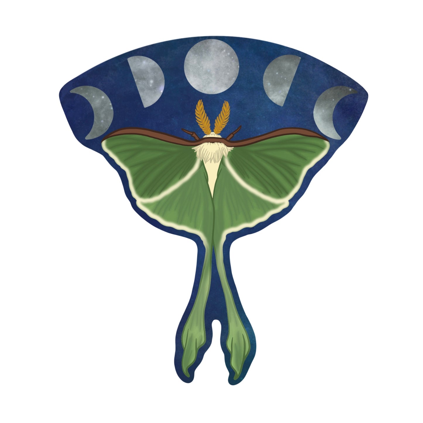 Luna Moth