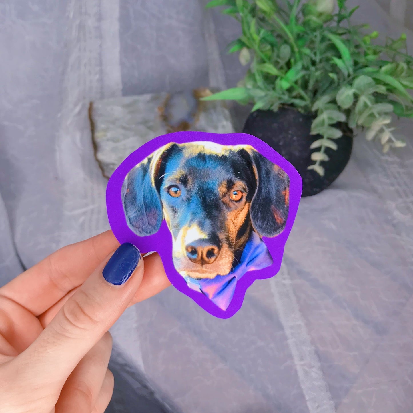 Pet Stickers & Magnets SOLID Border