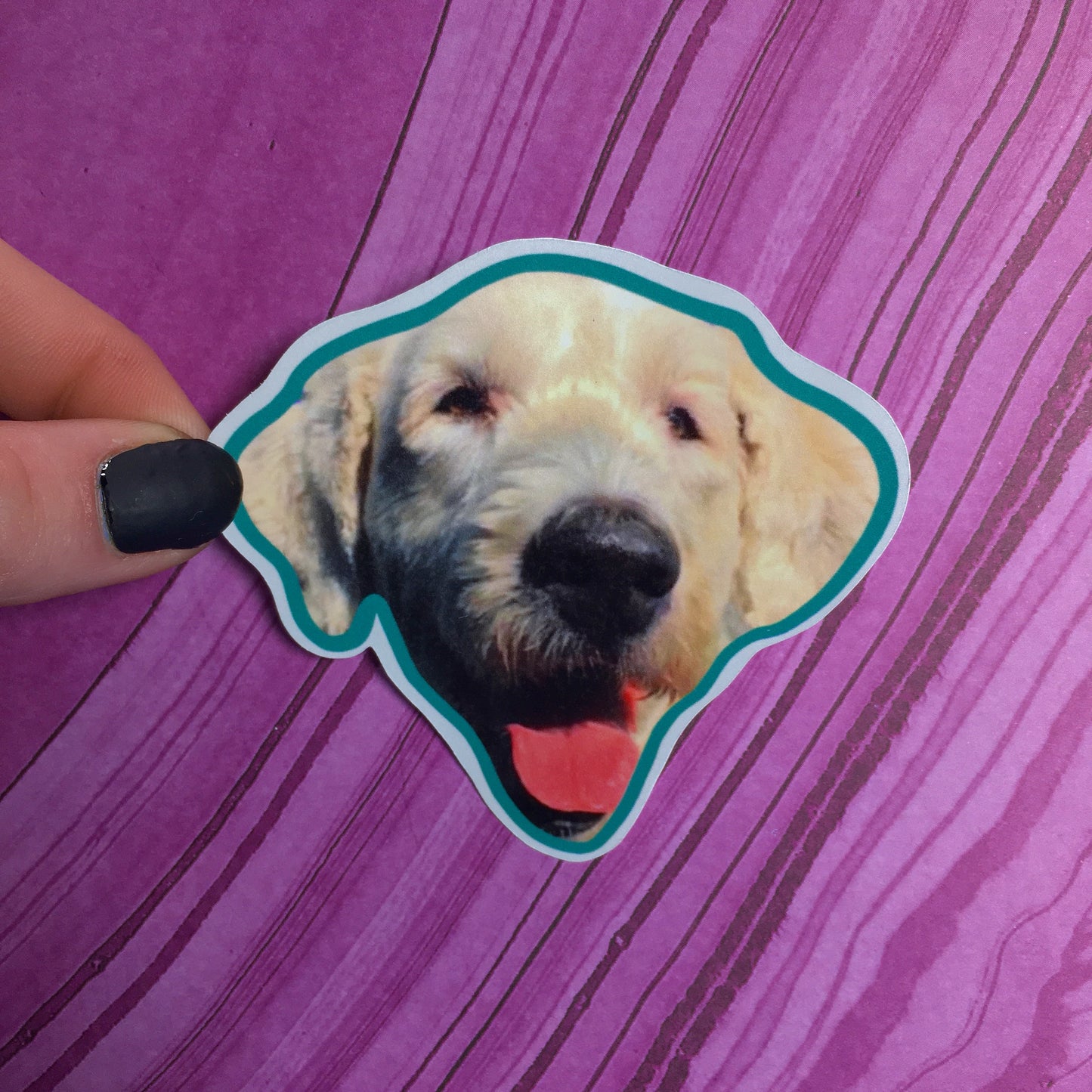 Pet Stickers & Magnets SOLID Border